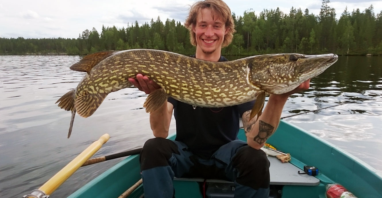 gaddfiskestensele