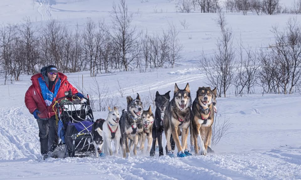 Världsmästardag med Team Petter Karlsson Sleddogs