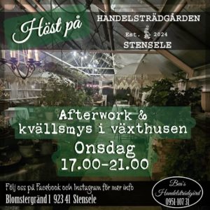 Afterwork