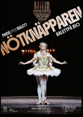 Biofilm - Nötknäpparen