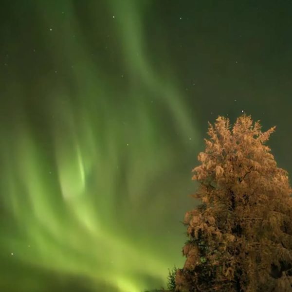 Yoga - Heldags retreat