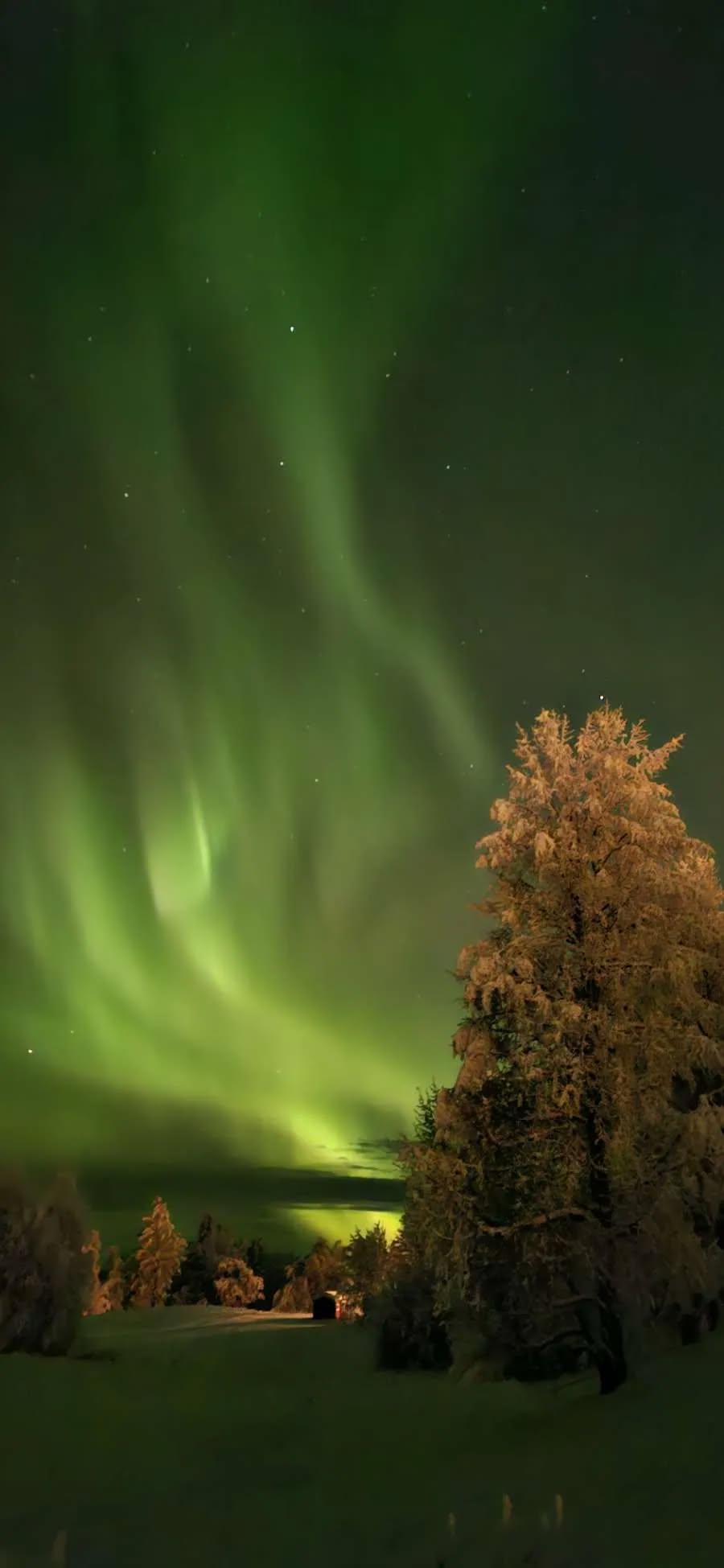 Yoga - Heldags retreat