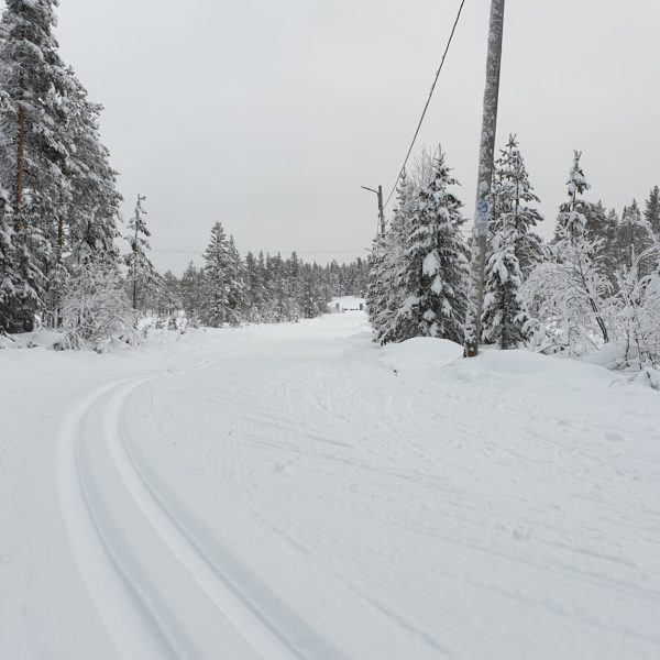 Luspenloppet - skidtävling