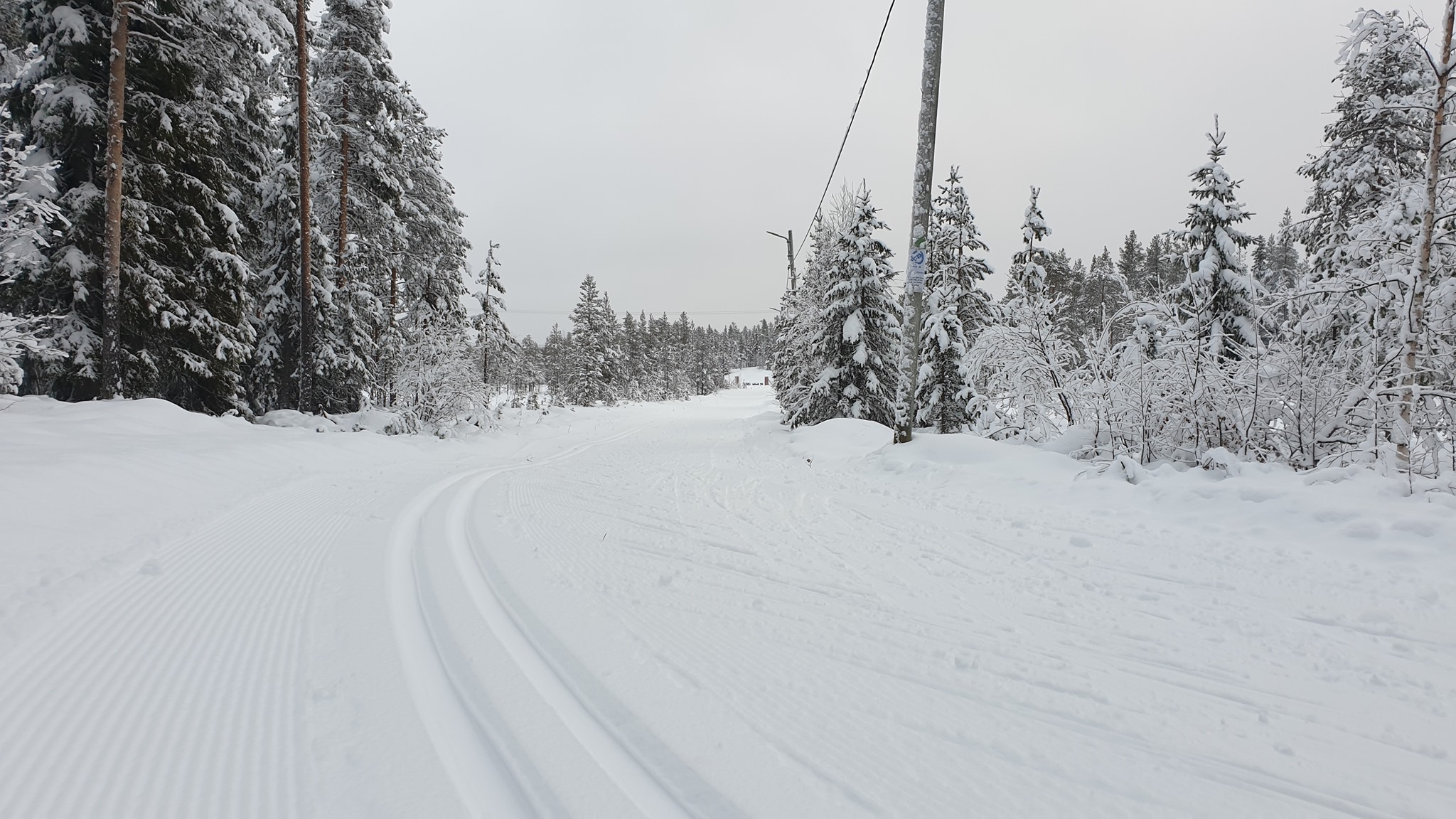 Luspenloppet - skidtävling
