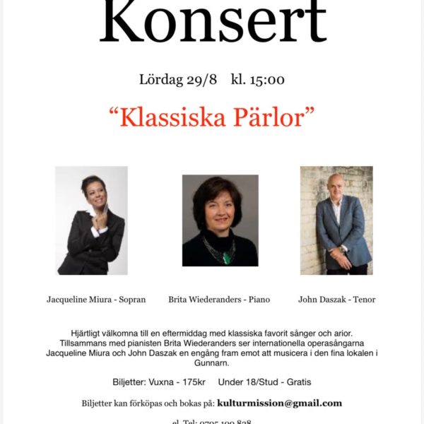 Konsert i Kulturmissonen Gunnarn
